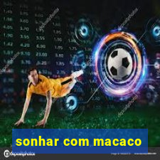 sonhar com macaco